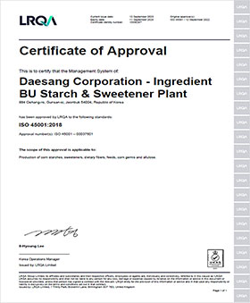 Ingredient BU Starch & Sweetener Plant ISO 45001 인증서